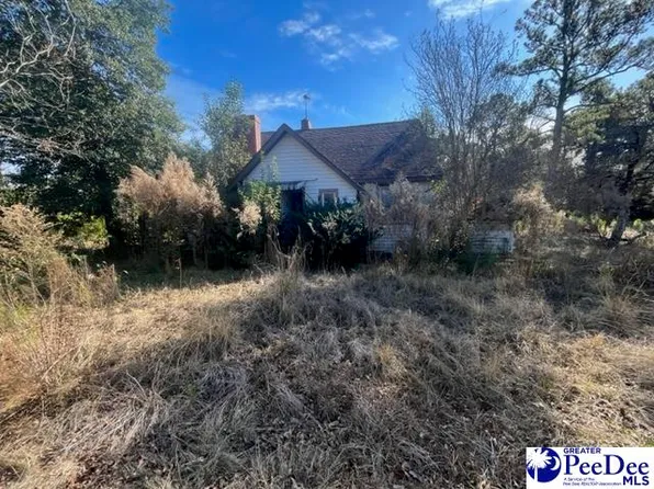 3205 Hartsville Hwy, Darlington, SC 29540