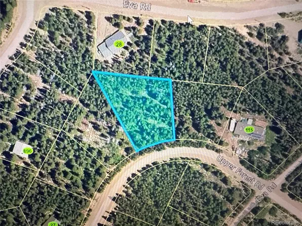 1010 Upper Forest Road, Idaho Springs, CO 80452