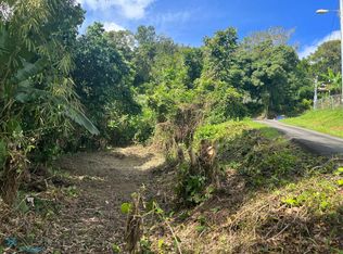 7 Highway 156, Comerio, PR 00782