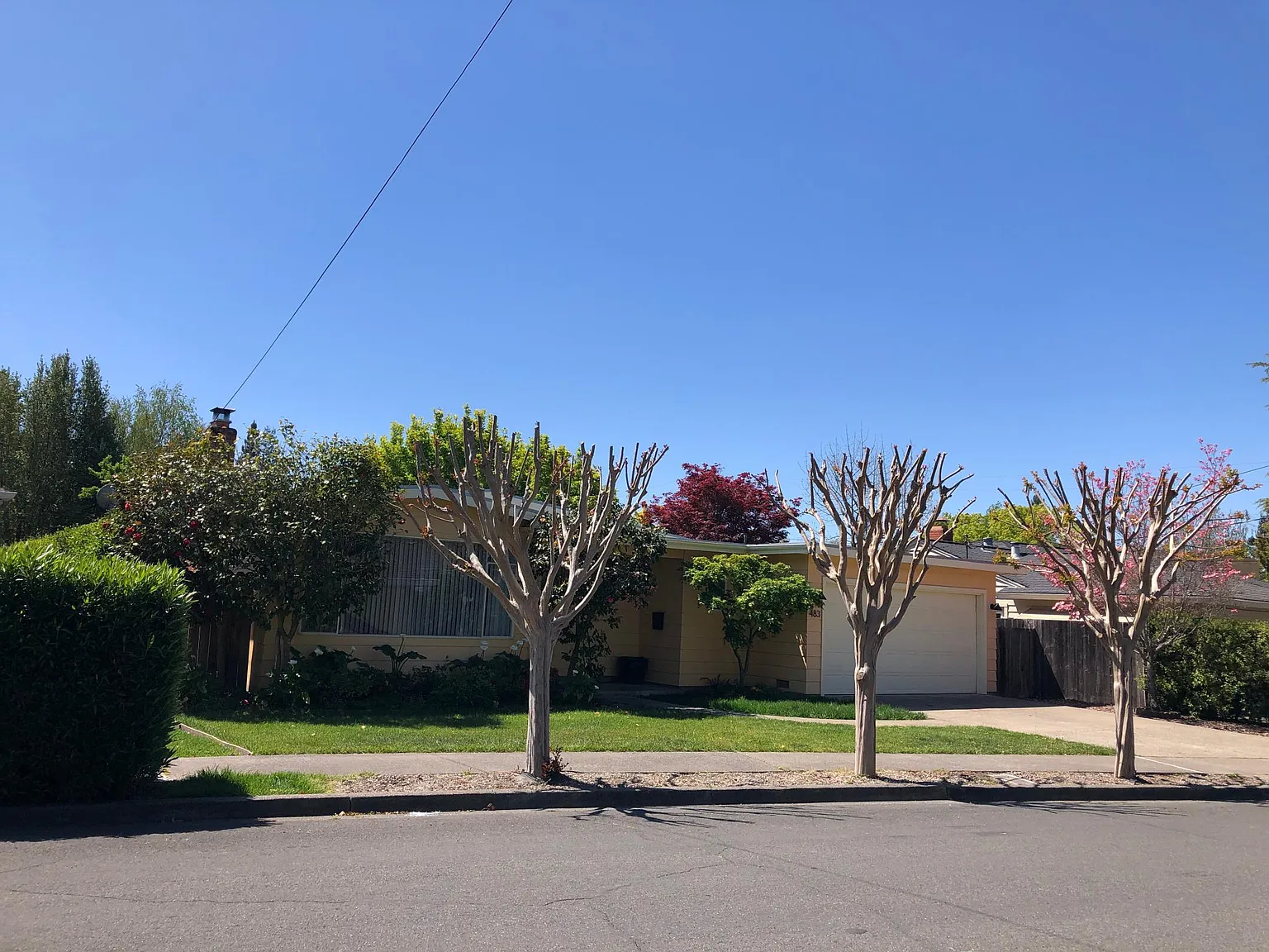 483 Chase St photo 1