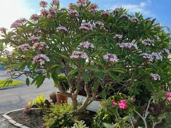 55 Boca Chica Rd Lot 93, Key West, FL 33040