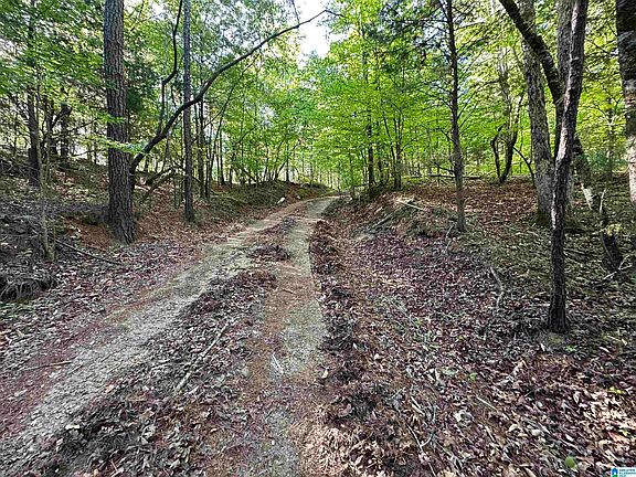 4th image of 0 County Road 707 #Na
