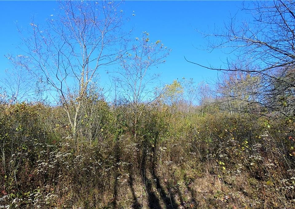 2nd image of 3 Addington Ct Lot 3