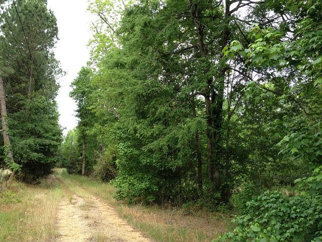 2nd image of 1402 Intermediate Rd