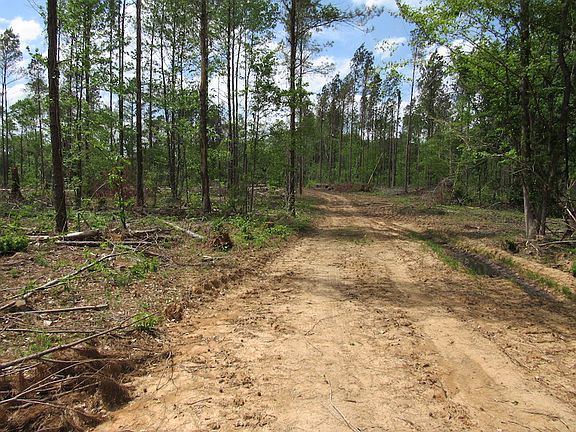 2nd image of County Road 29 Lot Wp006