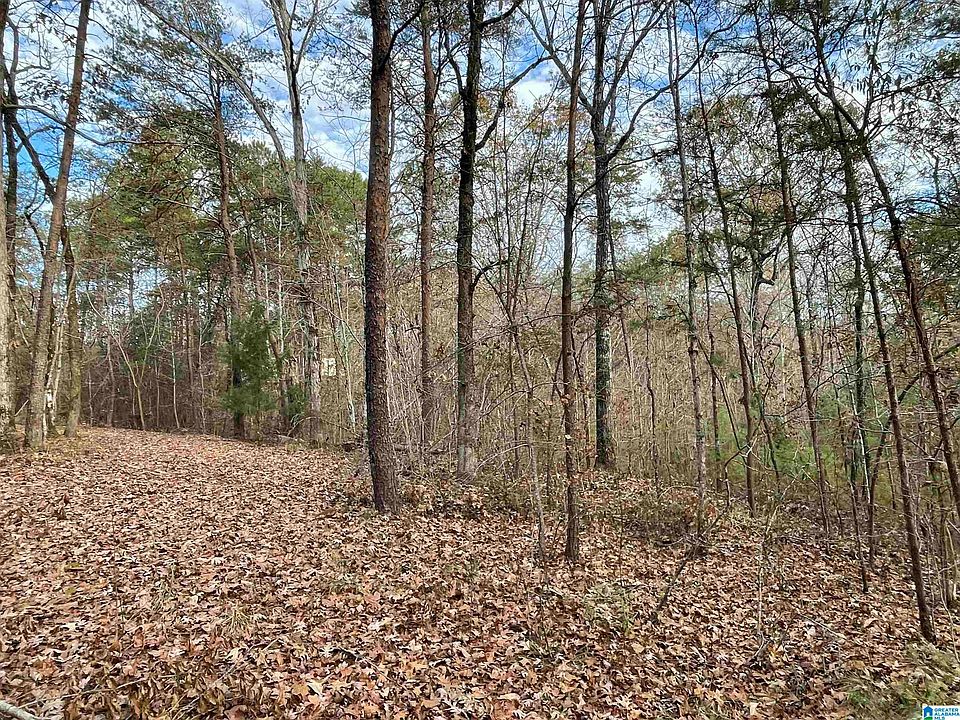 1st image of 1681 Wilderness Trl