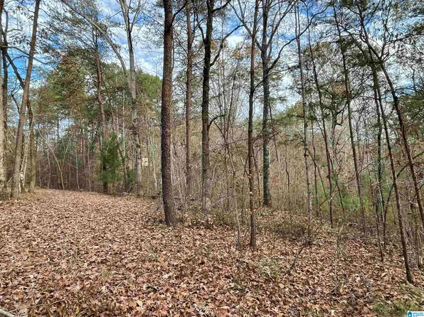 1681 Wilderness Trl, Shelby, AL 35143