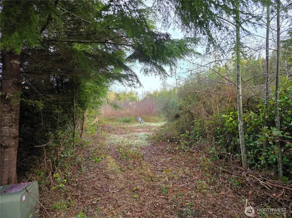 3011 202nd Street, Ocean Park, WA 98640