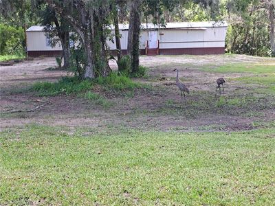 1463 Bobolink St, Zephyrhills, FL, 33540