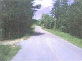 2nd image of 557 Josh Ward Rd