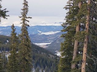 136 Hamilton Ln, Breckenridge, CO 80424