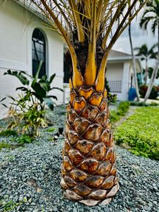 355 Henderson Ct, Marco Island, FL, 34145