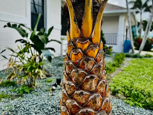 355 Henderson Ct, Marco Island, FL 34145