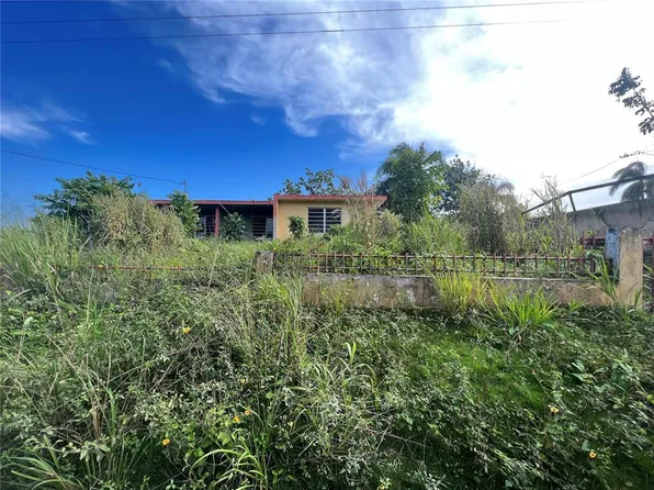 State Route 602 Km #1.8, Utuado, PR 00641