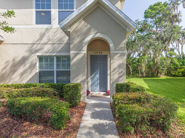 15948 Fishhawk View Dr — Photo 1