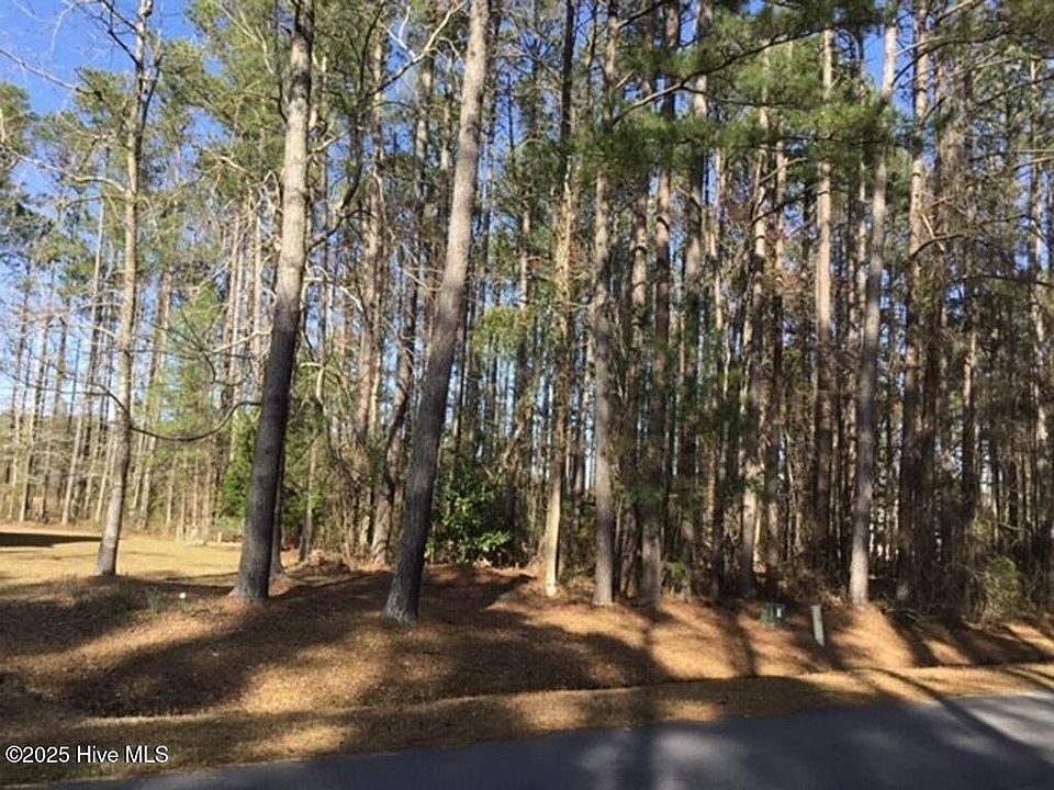 2nd image of 257 Spicers Creek Drive LOT 10