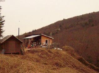 90 Owens Ln, Clayton, GA 30525