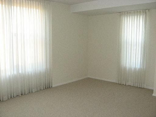 4th image of 777 N Michigan Ave APT 2901
