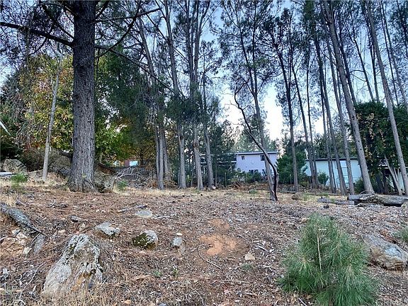 2nd image of 3525 Knob Cone Dr