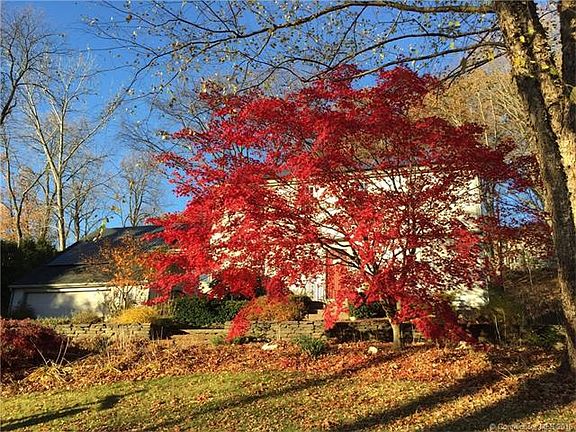 Who needs to travel to see ...