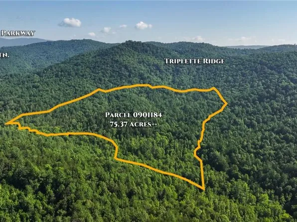 0 Boone Trl, Purlear, NC 28665