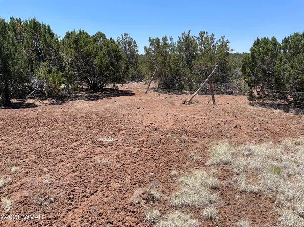 20 County Rd, Concho, AZ 85924