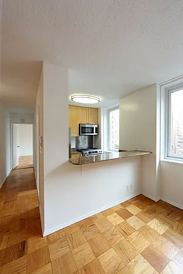 Rented by Manhattan Skyline | media 2