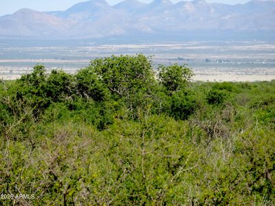 TBD N Last Trail #55, Elfrida, AZ, 85610