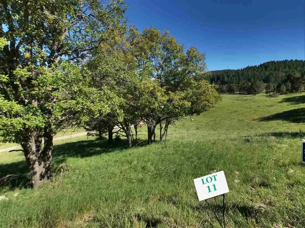 8 Elk Spgs, Cloudcroft, NM 88317