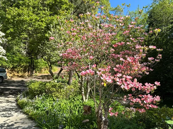 1800 Neil Creek Rd, Ashland, OR 97520