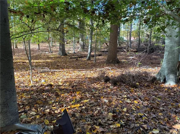 31 Rosano Road, Stamford, CT 06905