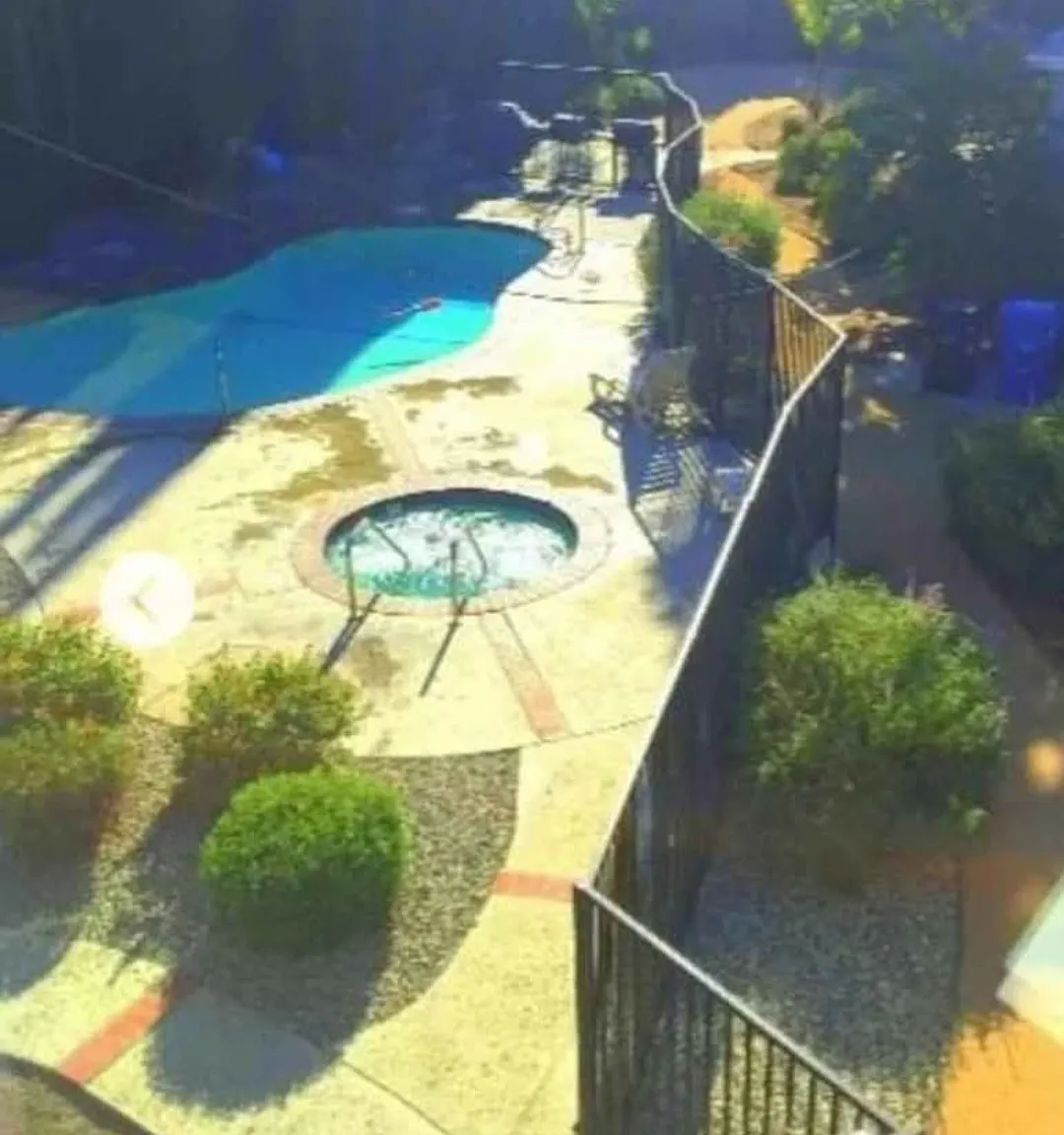 1 bed, $1,900 — Photo 4