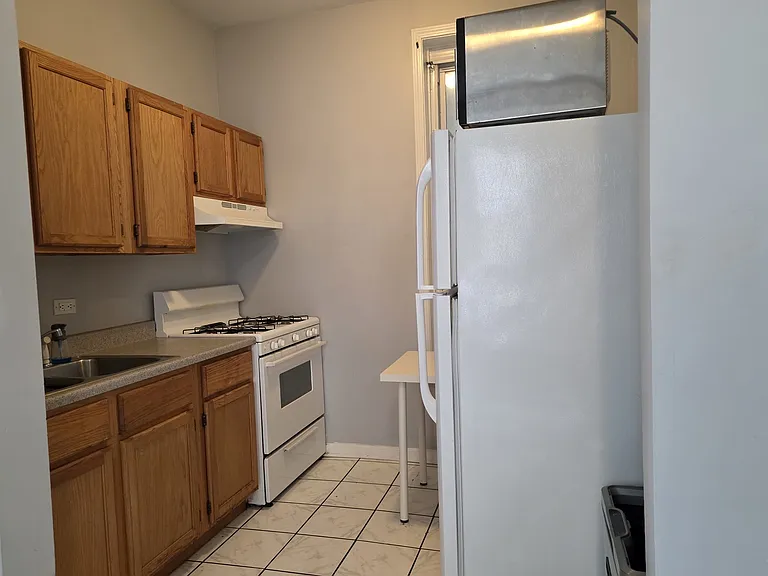 1025 W Cullerton St #1RFB — Photo 7