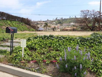 954 Colina Vis, Ventura, CA, 93003