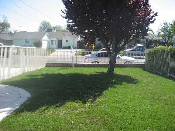 Front yard
