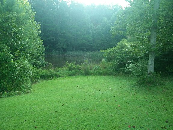 Pond