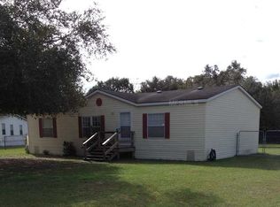 11906 Flint Pointe Pl, Thonotosassa, FL 33592