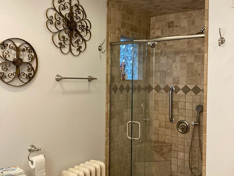 Primary Bathroom shower