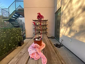 Rented by Dream Space Realty