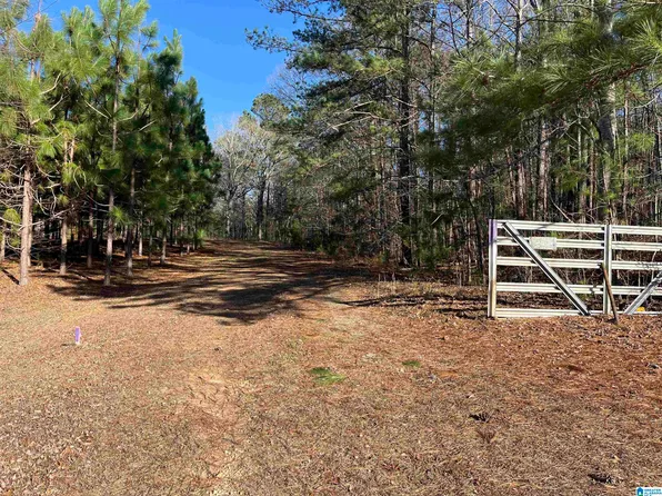 0 County Road 57 #0, Lineville, AL 36266