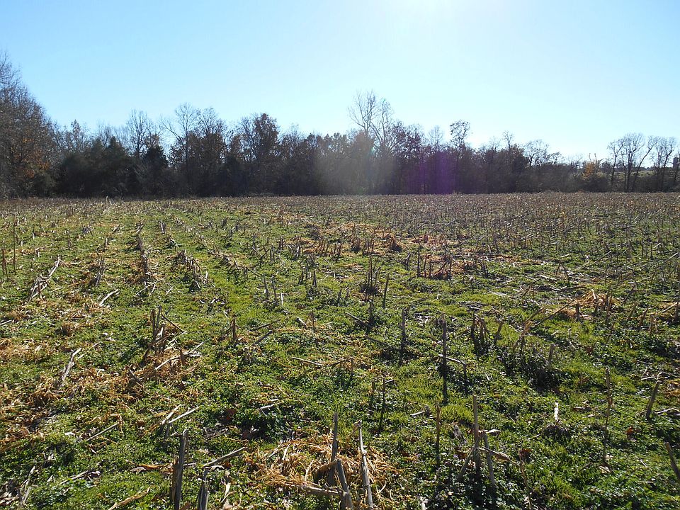 2nd image of 0 State Highway W