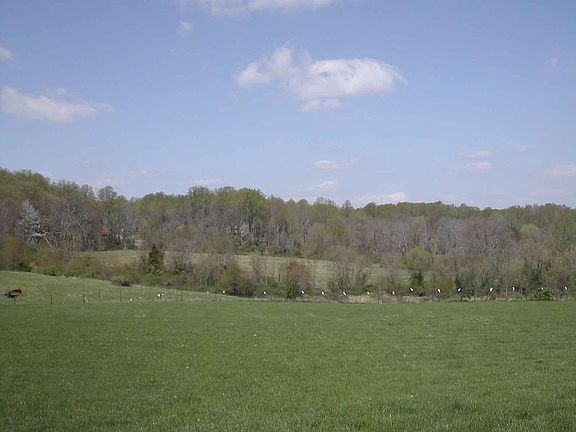 View from back porch