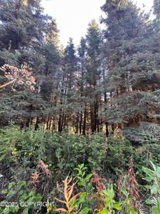 L8 Shegota Loop, Ninilchik, AK, 99639