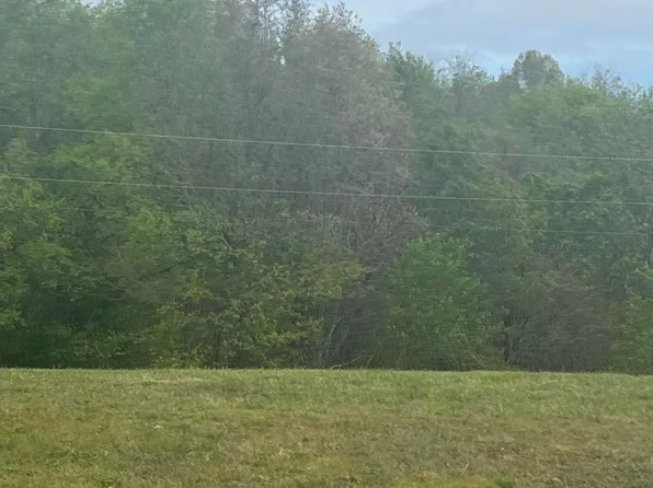 Lot # 37 Melton Way, Cassville, MO 65625