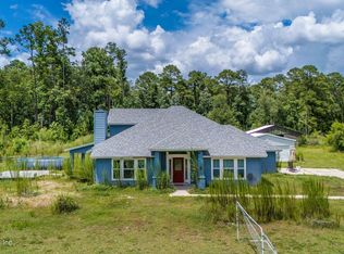 4254 Falcon Run Ln, Middleburg, FL 32068