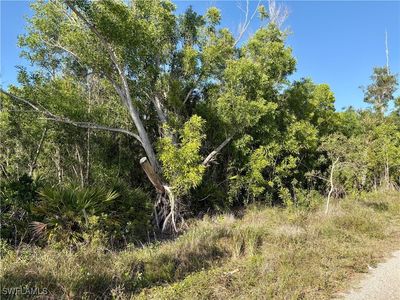 5686 Sandal Ln, Bokeelia, FL, 33922