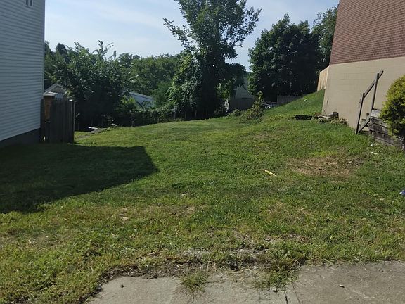 Large yard