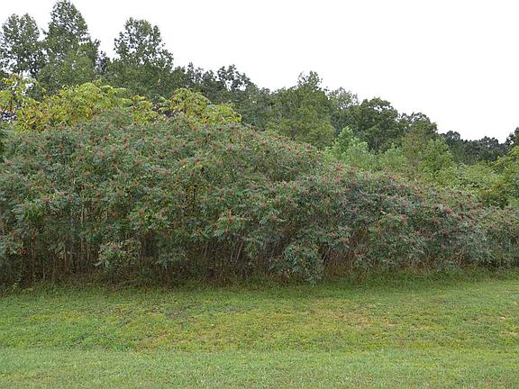 3rd image of LOT 7 Abbey Ln Lot 7