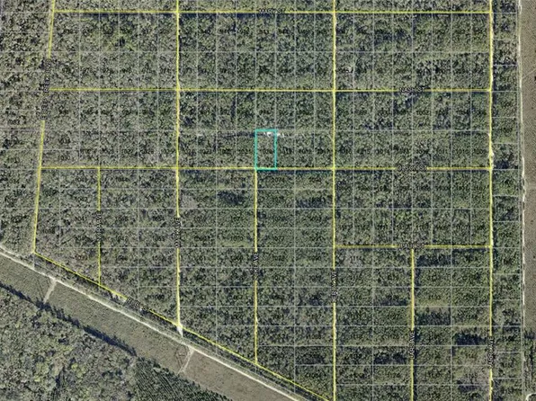 21-10-28-2775-00 Olson St, Hastings, FL 32145