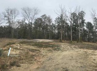 153 Clearwind Ct, Galivants Ferry, SC 29544